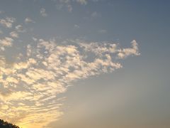 -火炉山森林公园