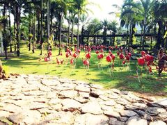 NONG&nbsp;NOOCH&nbsp;TROPICAL&nbsp;GARDEN-东芭乐园
