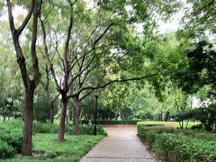 -玲珑塔公园
