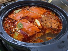 红汤锅-宽板凳砂锅串串(蒙阳店)