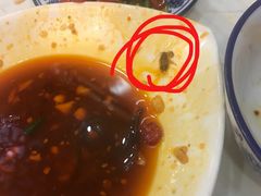 -中国传统牛肉面(鸟巢店)