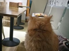 -小时光咖啡馆(开森度假森林店)