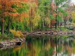 -上海海湾国家森林公园