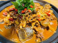 甲鱼牛蛙锅-洪湘记川湘·甲鱼馆(四海凯悦美食广场店)
