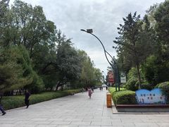 -青城公园