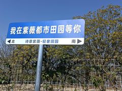 -武汉紫薇都市田园