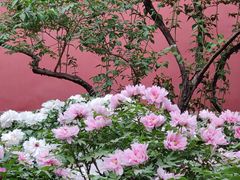 -北京市劳动人民文化宫(太庙)