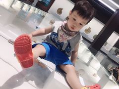 -贝壳王国博物馆