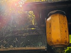 -广州兰圃