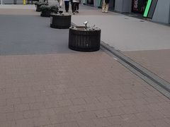 -秋叶原电器街