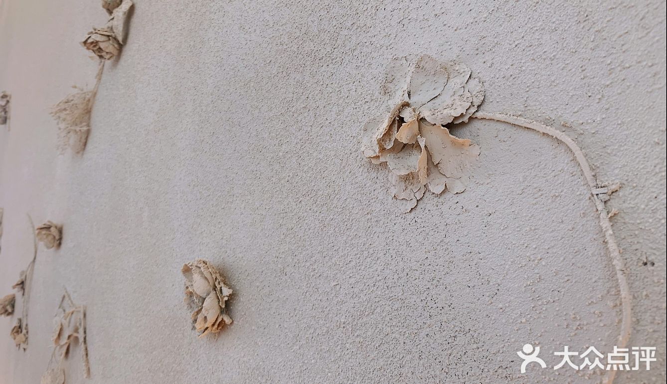 【叮咚~~】点小评为你推荐[徐家汇]附近的网红小店~不容错过~