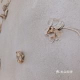 【叮咚~~】点小评为你推荐[徐家汇]附近的网红小店~不容错过~