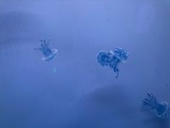 -常州海昌海洋探索馆