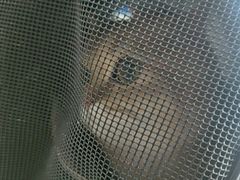 -全心全意连锁动物医院·微创中心·内科急重症·心脏专科(丰管路店)