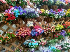 -三圣花乡旅游区