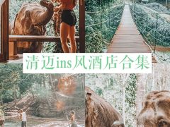 -清迈夜间动物园