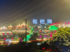 -枇杷园食为鲜火锅(南山店)