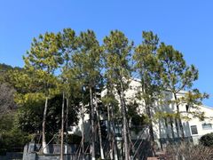 -宁波柏悦酒店·钱湖渔港
