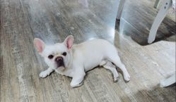 -IDEA·艾蒂尔科技美肤·日式美甲美睫集合店