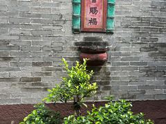 -碧江金楼