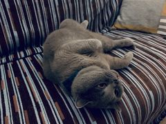 -KKV(深圳宏发大仟里店)