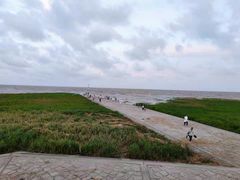 -南汇嘴观海公园