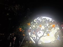 -无锡梅园公园