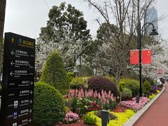 -北外滩滨江绿地