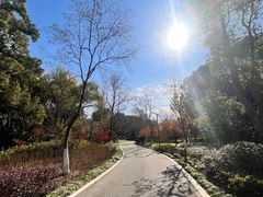 -昆山城市生态森林公园