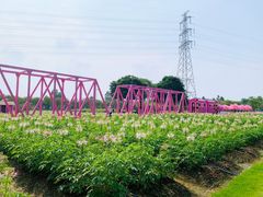 -盈香心动乐园