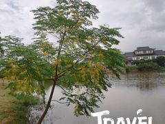 -漩门湾国家湿地公园