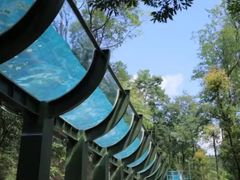 -花水湾第一村温泉大酒店