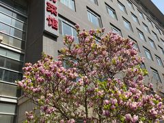 -潍坊菜馆(三里河南横街店)