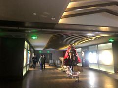 -成都百丽宫影城(LUXE太古里店)