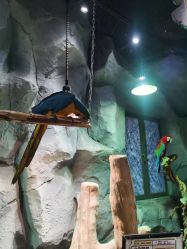 -Zoolung Zoolung动物主题公园(海信广场店)