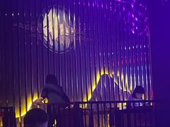 -TORA音乐酒馆