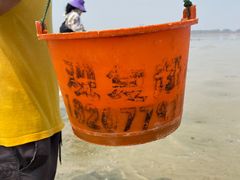 -北海金海湾红树林生态旅游区