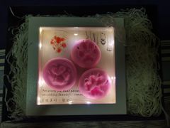 -翡翠森林宠物火化殡葬(通州店)