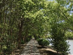 -广富林郊野公园