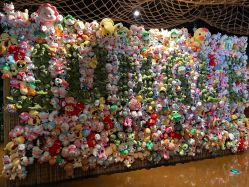 -奇幻丛林(佛罗伦萨小镇店)