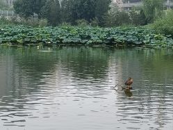 -将府公园儿童游乐场