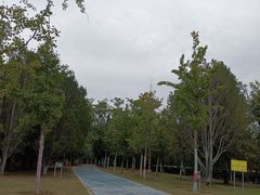-青龙湖公园