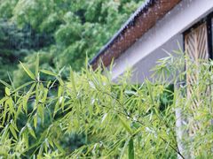 -蜀南竹海景区
