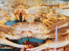 -阳光码头海鲜火锅(世纪大道店)