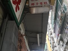 -洪馨椰子
