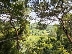 -芦仙山景区-飞越丛林探险乐园