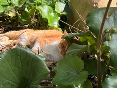 -华东政法大学(松江校区)