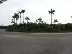 -广东茂名森林公园