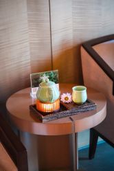 -VELEE·SPA高定疗愈会所