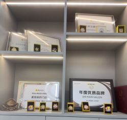 -DK SALON连锁专业烫染接发店